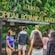 Guests entering the front gates of the Hawaii Tropical Bioreserve and Garden